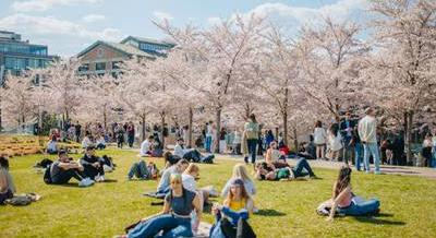 Tavaszi és húsvéti ízek, programok és élmények Budapesten