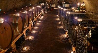 Újjászülető borvidék a Dunakanyarban – Fedezd fel a szentendrei Rustica Borműhelyt!