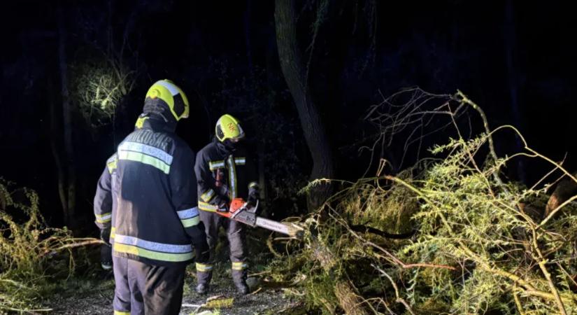 Utakra, felsővezetékekre dőltek fák a nyugati megyékben az erős szél miatt