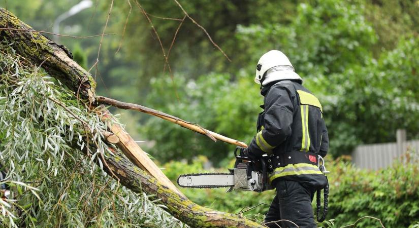 Fa dőlt egy buszra Kőszegnél