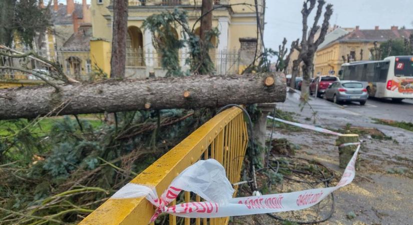 Vámos Zoltán: Mindenki vigyázzon magára ebben az extrém szélben!