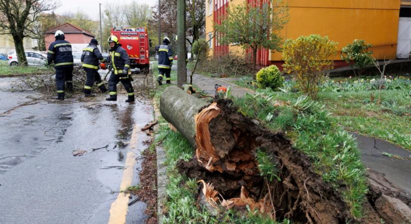Kidőlt fák és villanyoszlopok nehezítik a közlekedést a szélvihar miatt Zalában