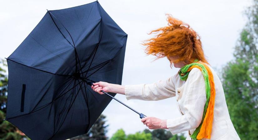 Akár a fákat is kicsavarhatják a viharos széllökések Hevesben