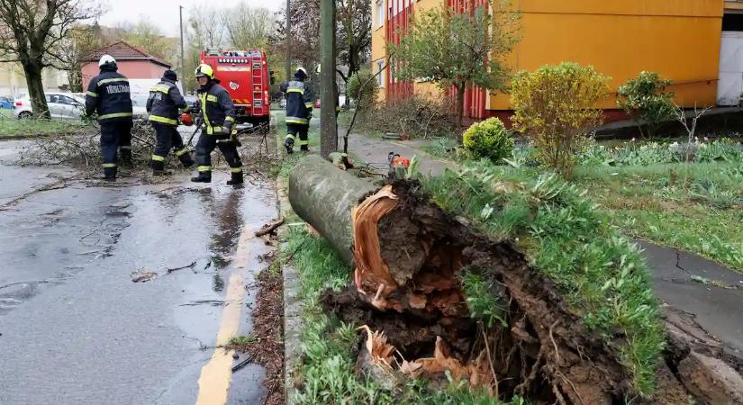 Vihar pusztít Vas és Zala vármegyében: Kőszegnél autóbuszra dőlt egy fa – friss hírek jöttek a károkról