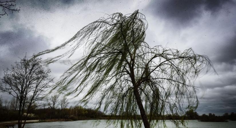 Nem csillapodik: tovább pusztít a Deborah Vasban – percenként riasztják a tűzoltókat (Cikkünk folyamatosan frissül)