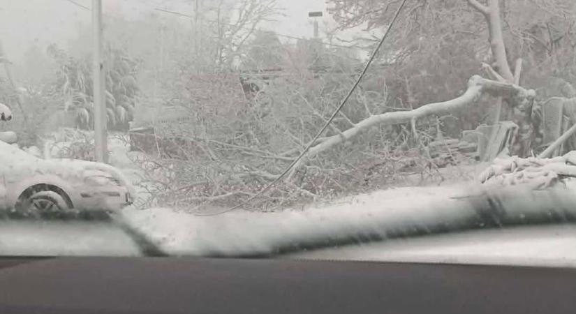 Károkat okoz a vihar az ország nyugati részén - több mint kétszázharminc esetben kellett beavatkozni