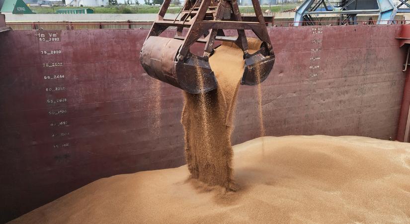 Élelmiszer-biztonság a sivatagban: 6 hónapnyi tartalék a totális éhínség ellen