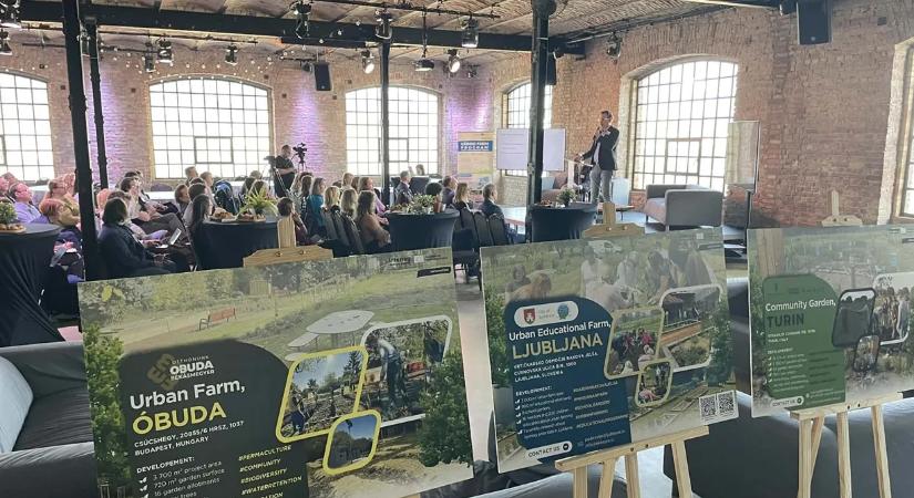 Seeds of change – nemzetközi együttműködések és innovatív városi megoldások a fókuszban