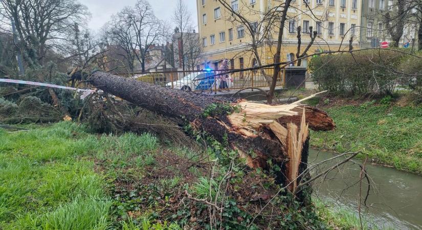 Rengeteg vasi településen okoz áramkimaradást a szélvihar - mutatjuk, hol
