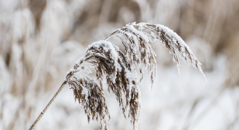 Időjárás: figyelmeztetés van érvényben a viharos erejű szél miatt, havazás is jöhet