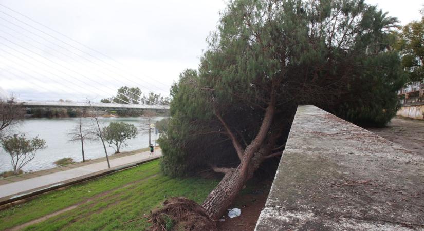 Brutális szélvihar tombol az országban: kidőlt fák, letépett háztetők