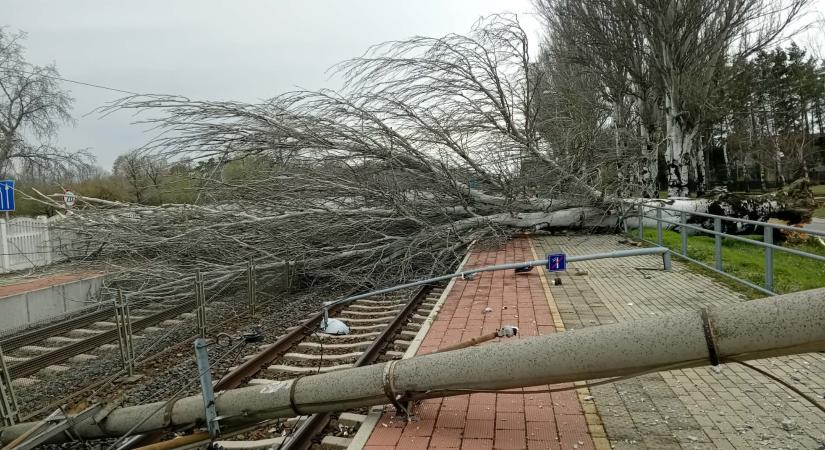 Akkora szélvihar tombol a Balaton partján, hogy fa dőlt a sínekre: nem járnak a vonatok