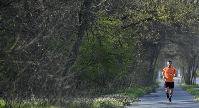 Júniusban újra jön a győri éjszakai futás