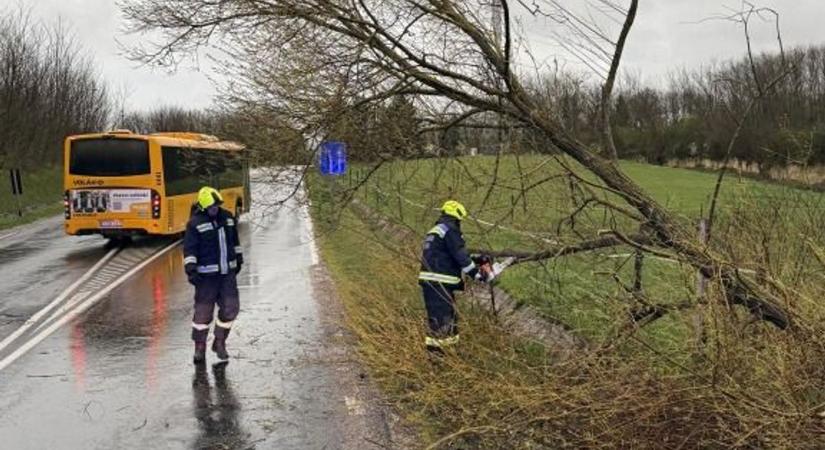 Brutális szélvihar, egymást tartották a kidőlt fák Csurgón - fotók