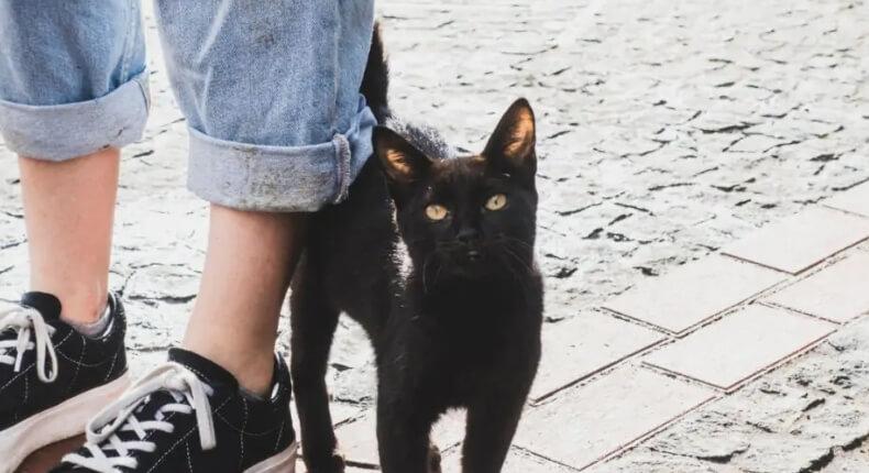 Miért nehéz néha jelen lenni?