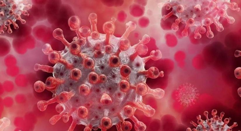 Veszélyes új Covid-variáns terjed, már a vakcinák sem állítják meg