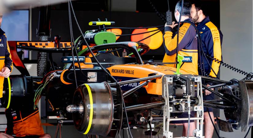 Az ág is húzta az F1-es címvédőt Japánban