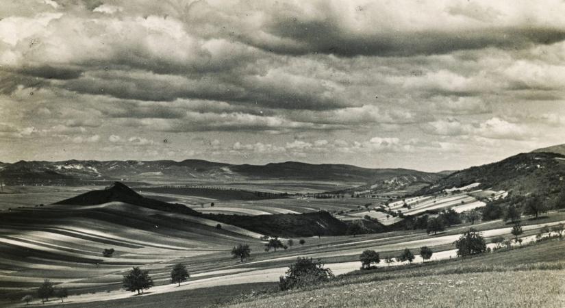 Ne gondolj a rózsaszín elefántra! – versek