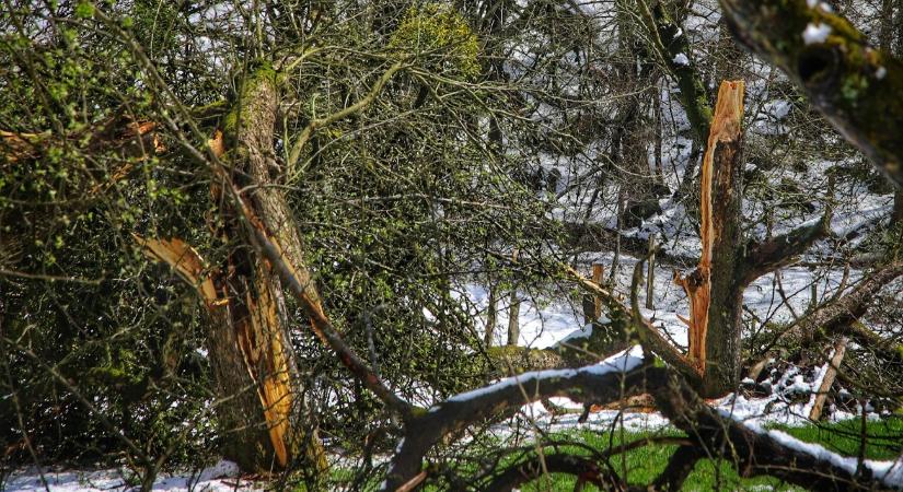 Elfoglalt most a katasztrófavédelem