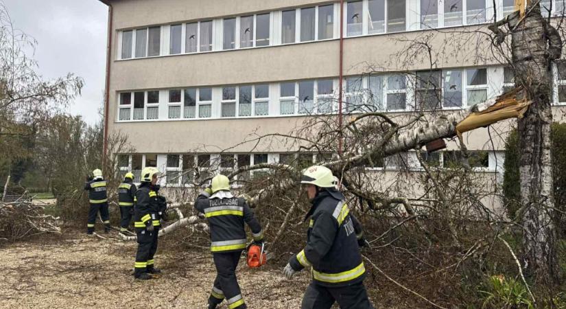 Áramszünet, kidőlt fák, iskolai szünet: így tarolta le a vihar az ország nyugati részét