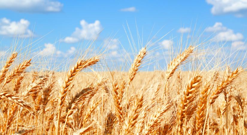 Vége a megszokásoknak? Így már nem termelhetnek a gazdák itthon