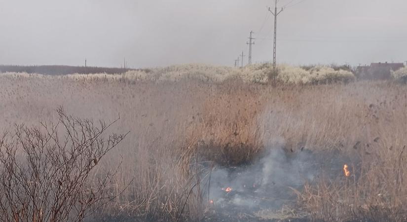 Ezerötszáz négyzetméteren égett a növényzet Sarkadon