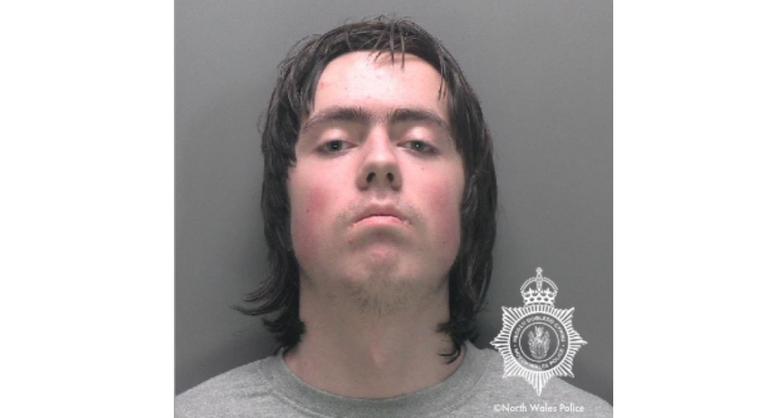 A chatbot tanácsára kalapáccsal verte agyon az anyját a nőgyűlölő fiú