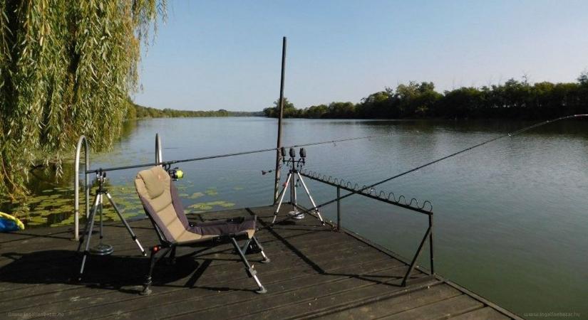 Majdnem elúszott, mégis rekordponty lett: elképesztő fogás Szegednél
