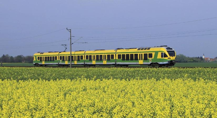 A másik vasúttársaságnál is gondot okoz a szélvihar, Zalából jelentettek problémát!