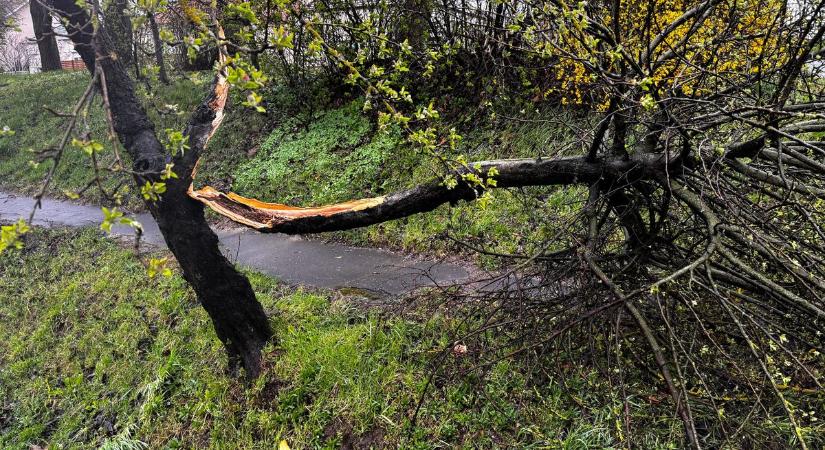 Viharos pusztítás Zalában: kidőlt fák, megrongált tetők és vasúti blokád