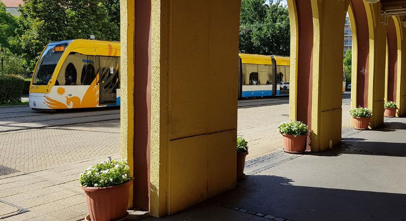 Személyautót venne tartós bérletbe a DKV