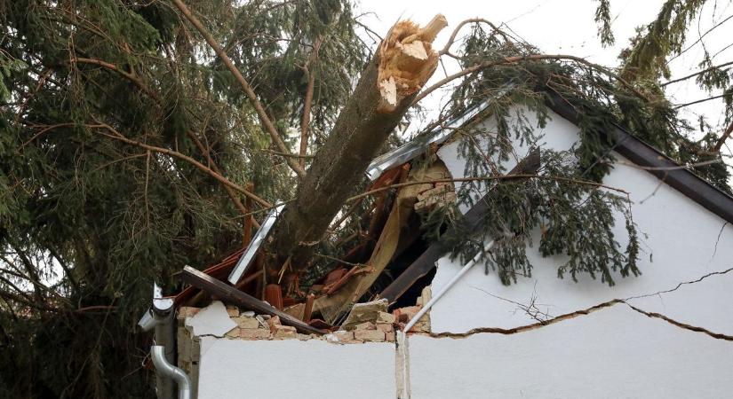 Tovább rombol a vihar: óriási fenyőfa dőlt rá egy épületre a vasi faluban