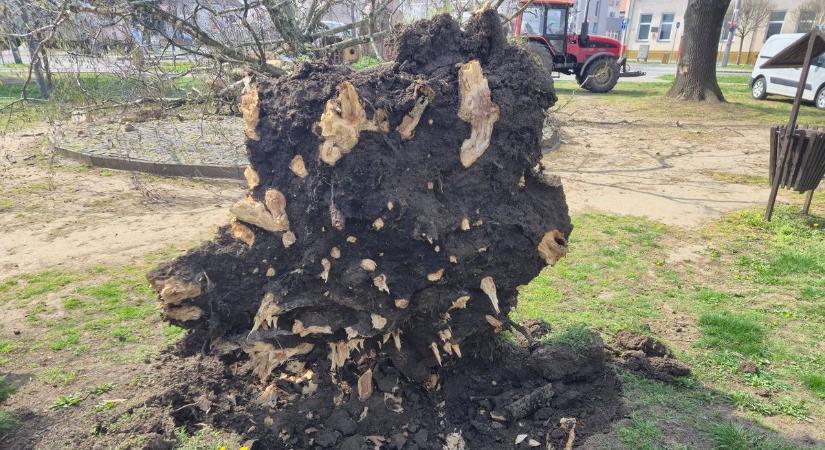 Pusztított egy hajdú-bihari településen a viharos szél – fotókkal