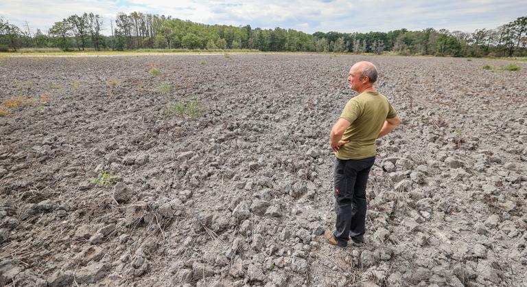Bejelentést tett a kormány, megmenekült a magyar gazdák fizetőképessége