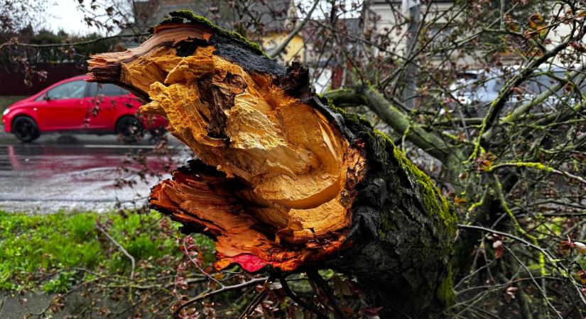 Top 10 legerősebb magyarországi széllökés között több zalai helyszín is akad