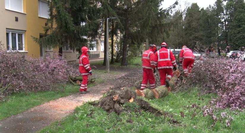 Viharos széllel érkezett a ciklon a térségünkbe