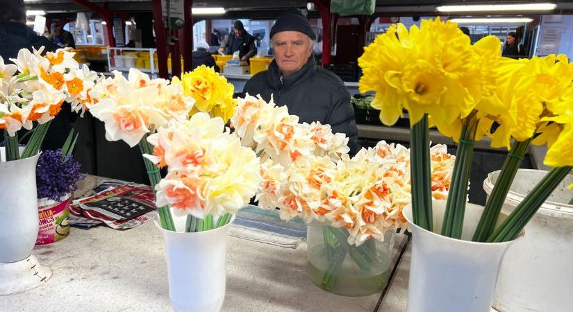 Csíp a torma, de megéri – beindult a piac húsvét előtt – videóval, képgalériával