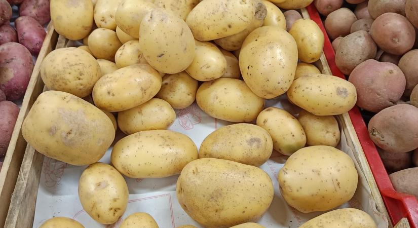 Megjött a piacra a friss, magyar újburgonya
