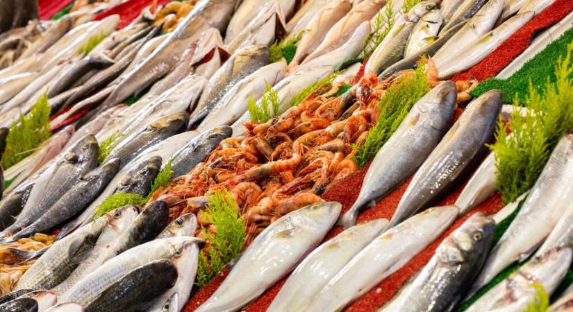 Biológiai csomagolóanyag fejlesztése halipari melléktermékből