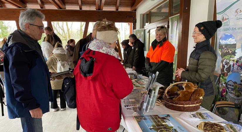 Ehető vagy mérgező? Az erdő titkai életre keltek Pörbölyön  fotók, videó
