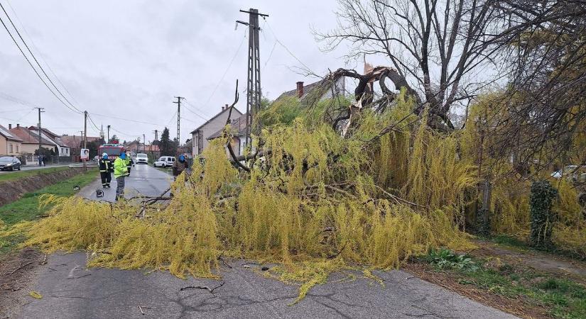 Viharos szél – A vasi falu egy részén egy napig nem volt áram – fotók