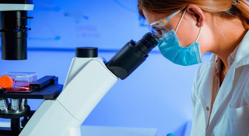 Úgy tűnik, a csernobili gomba hihetetlen képességet fejlesztett ki