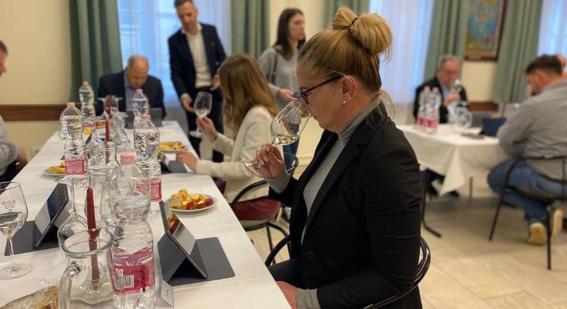 Palackokba zárt varázslat - 103 minta versengett a Soproni Borvidéken - Képgaléria