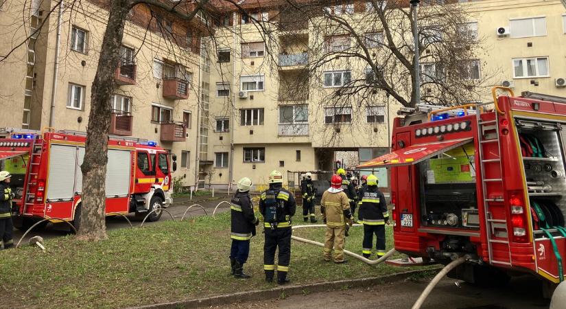 „Félelmetes volt, lángolt az egész” – Ott voltunk a selyemréti tűznél (fotóval, videóval)