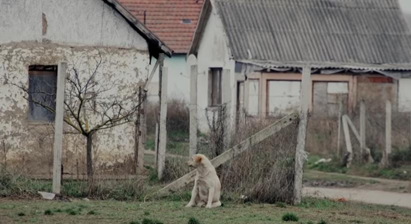 Dizájnerdrogért és készpénzért vehetnek szavazatokat – súlyos állítások egy friss dokumentumfilmben