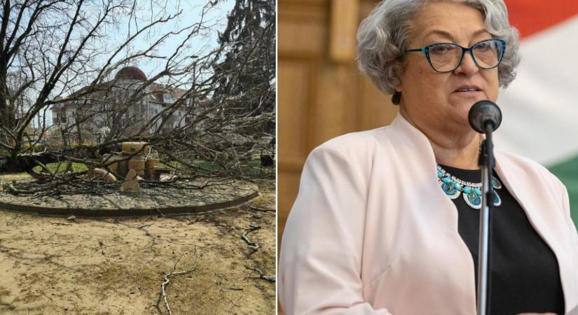 Fa dőlt Hajdúdorog jelképére, Göröghné Bocskai Éva szerint a kormányváltás lesz a helyreállítás kulcsa