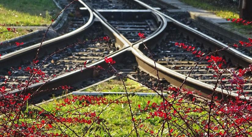 Ez vár Csongrád-Csanádra holnap és sokakat meglephet