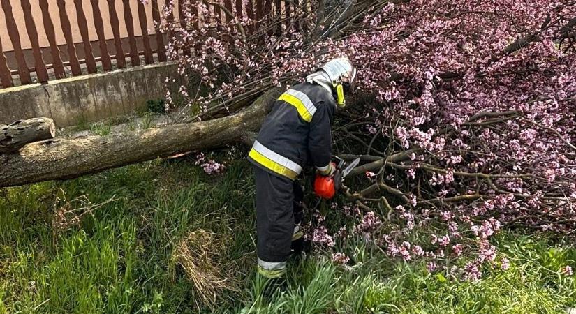 Kisújszállásról jelentették a viharos idő első „áldozatait”