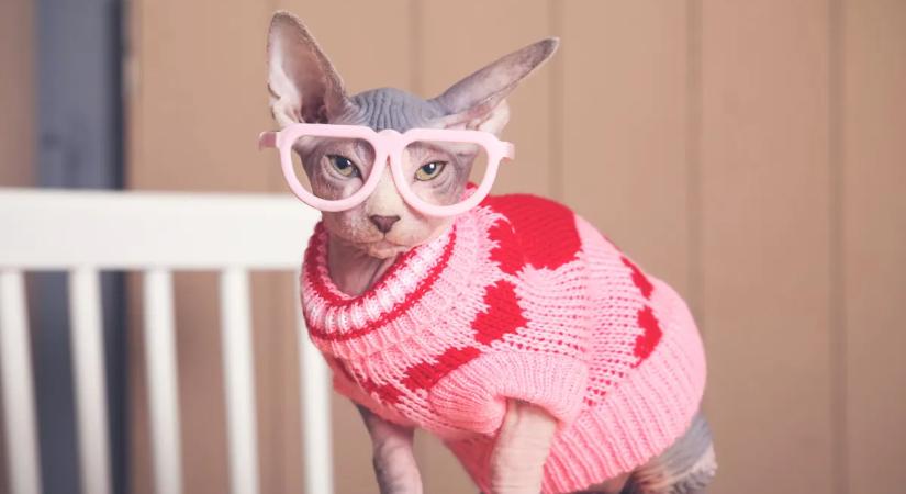 Fűtés nélkül is melegen: így kerülheted el a megfázást