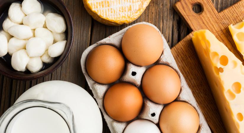 Állati fehérje fogyasztása időskorban